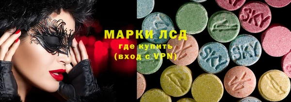 ПСИЛОЦИБИНОВЫЕ ГРИБЫ Вязники